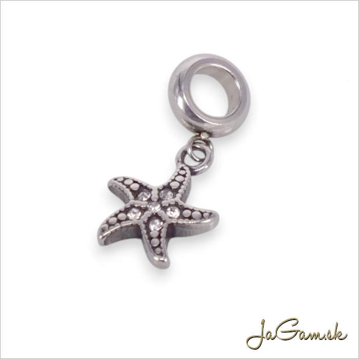 Korálka s príveskom 24x12mm CHIRURGICKÁ OCEĽ, 1ks (ch1758)